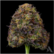 MF-107 Flower T27.83% (S) 00837