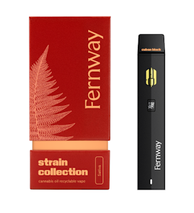 FERNWAY - Cuban Black Haze - 1G AIO Traveler