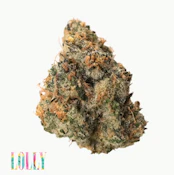 [Traditional] Flower - 3.5g - Lolly (S)