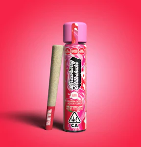 TRADITIONAL - [Traditional] Infused Pre-roll - 1g - Strawberry Milkshake (S)