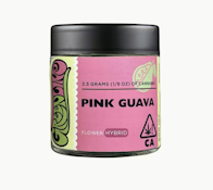 Greenline 3.5G Pink Guava Indoor Flower