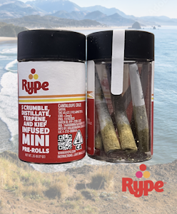 Rype - Cantaloupe Craze - Infused Prerolls - 5pk - 2g