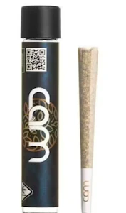 CAM - Devil Driver - 1G Preroll
