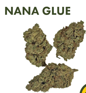 Bison Botanicals - Nana Glue - 3.5G Flower