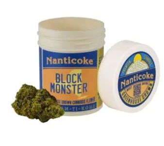 NANTICOKE - Nanticoke - Block Monster - 3.5g - Flower