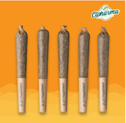 E85 Shorties 5pk (S) 26823