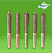 Wook Stomper Shorties 5pk (H) 26792