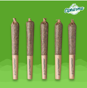 CT Pharma - Wook Stomper Shorties 5pk (H) 26792