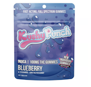 Kushy 10PK Punch Gummies Blueberry