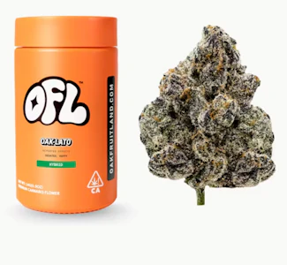 Oakfruitland - Oakfruitland | Oak-Lato Pkg 14g Jar Big Buds