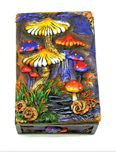 Glass - Mushroom Garden Box