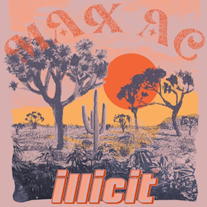 ILLICIT - Max AC 3.5g