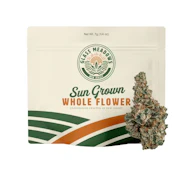 iScout 7g Small Buds