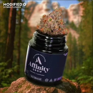 AFFINITY - Modified O Flower 3.5g (H) 00852