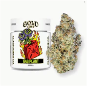[Claybourne Co.] Gold Cut Flower - 3.5g - Gas Plant (I)