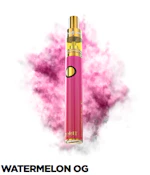 Dime Industries - Watermelon OG - Liquid Live Resin - 1g - AIO Disposable