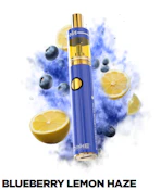 Dime Industries - Blueberry Lemon Haze - 2g - AIO Disposable