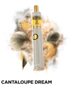 Dime Industries - Cantaloupe Dream - 2g - AIO Disposable
