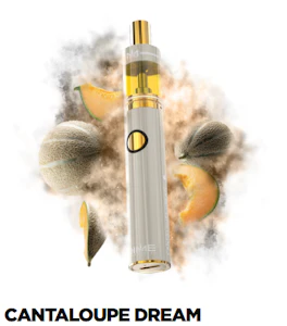 Dime Industries - Dime Industries - Cantaloupe Dream - 2g - AIO Disposable