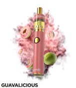 Dime Industries - Guavalicious - 2g - AIO Disposable