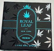 Pinnacle - 2G Live Rosin