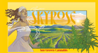 Tropical Blend - 14G Flower