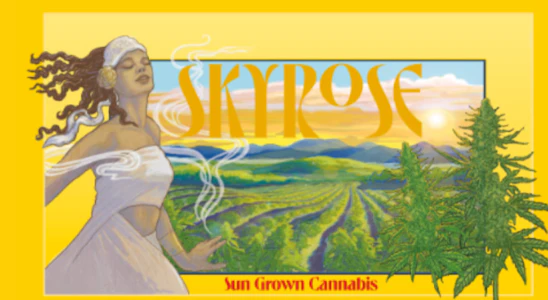 SkyRose - Tropical Blend - 14G Flower