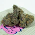 Product Preview Image 2