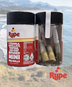 Cantaloupe Craze - Infused Prerolls - 5pk - 2g