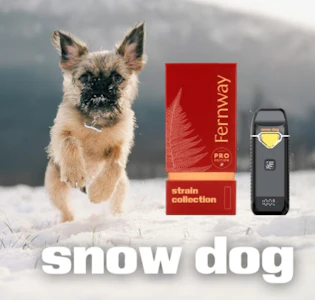 FERNWAY - Fernway | Snow Dog Disposable | 2g