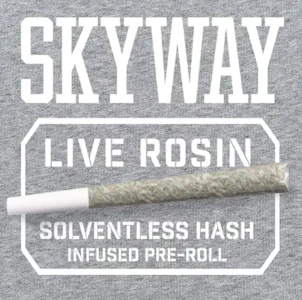 Skyway - Skyway | Strawberry Gary x Limoncello Rosin Infused | 1g