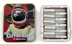 Blue Dream - 10PK Live Resin Infused Prerolls