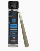 BLUEBERRY DREAM PRE ROLL - DANK- 1g