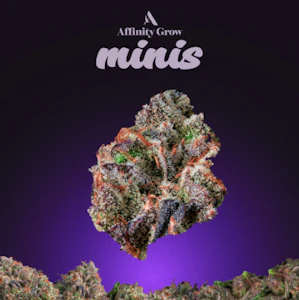 AFFINITY - Star Killer OG Flower Minis 3.5g 00828