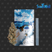 Seed Junky Genetics - 1g Preroll - Santorini