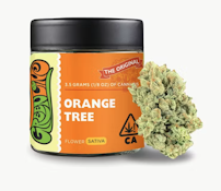 Greenline 3.5G Orange Tree Indoor Flower