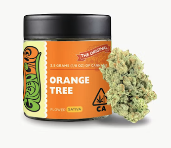 Greenline - Greenline 3.5G Orange Tree Indoor Flower