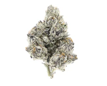 UpNorth Indoor Flower 3.5g - White Zaza 31%