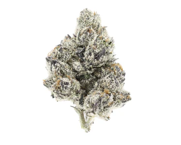 UPNORTH - UpNorth Indoor Flower 3.5g - White Zaza 31%