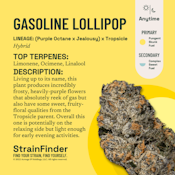 The Botanist | Flower | Gasoline Lollipop Smalls | 14g