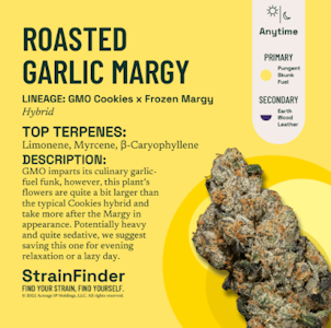 THE BOTANIST - The Botanist | Flower | Roasted Garlic Margy | 14g