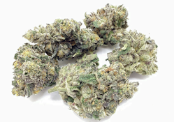 Sherb Cream Pie | 3.5g A Buds | TAX INCLD