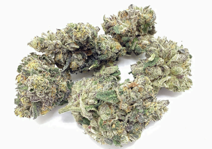 U4EA FARMS - Sherb Cream Pie | 3.5g A Buds | TAX INCLD