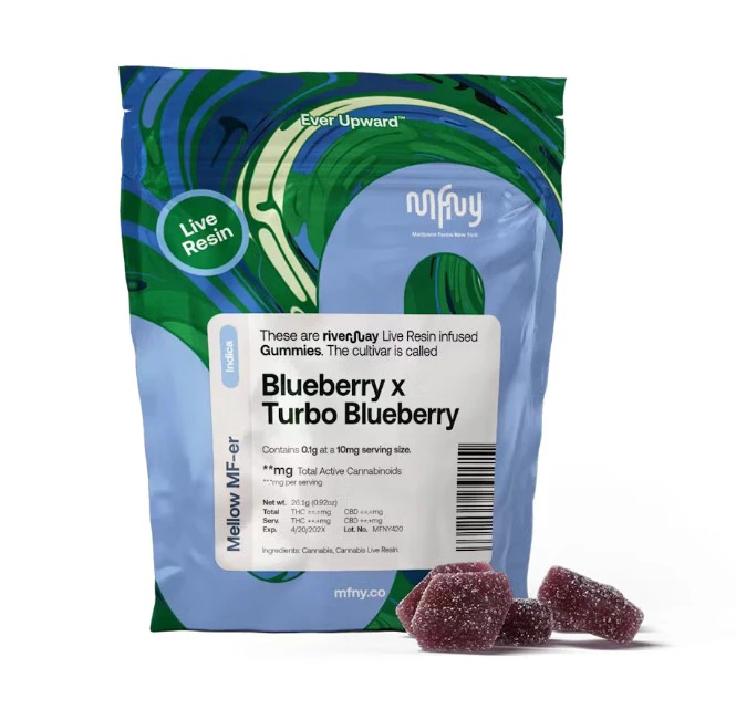 MFNY - Blueberry x Turbo Blueberry - 100mg Live Resin Gummies 10 pk Main Image