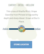 Cap City Kush [H] Flower 3.8g Burr's Place