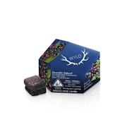 WYLD - 2:1 THC:CBN Gummies - Elderberry