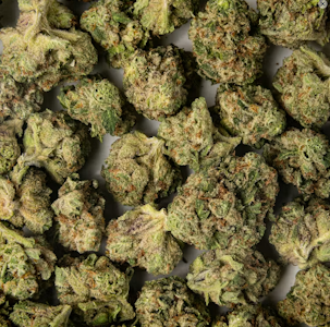 TIME MACHINE - Time Machine - 14g - Pomelo