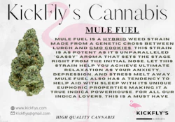 MULE FUEL FLOWER - KICKFLY'S CANNABIS - 3.5g