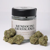Mendocino - Mule Fuel - (I) 4.2g