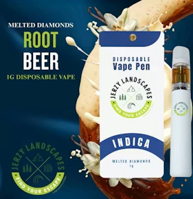 Jerzy Landscapes | Dad's Root Beer Melted Diamonds Disposable | 1g